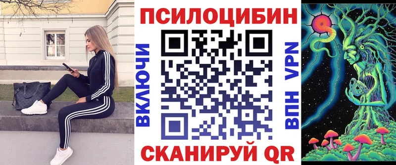 где купить наркоту Вологда Псилоцибиновые грибы GOLDEN TEACHER